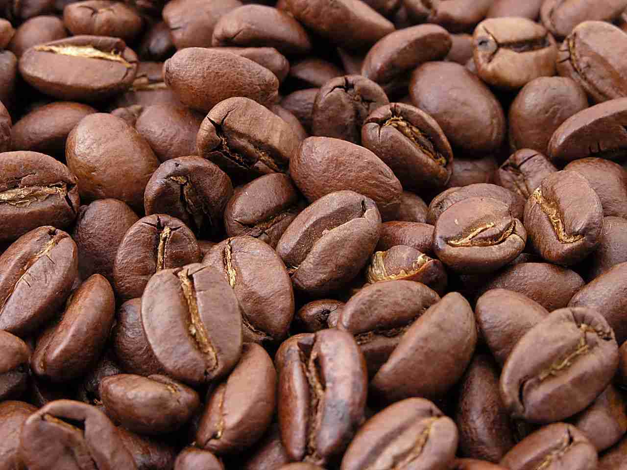 Coffee Whole Beans or In Powder / Café / Poudre / RENAGRI SARL/ Produced in Togo