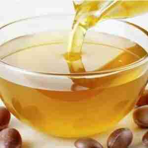 Organic Argan Oil / 25 L / OTIGATI / Produced In Morocco