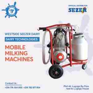 Single Cow Milking Machine / Bigger Tank / WESTSIDE SEZER DAIRY TECHNOLOGIES / Made In Turkey