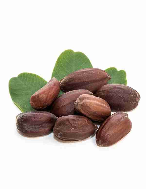 Pure Jojoba Seed Oil / 25 liters / OTIGATI / Produced In Egypt - Image 3
