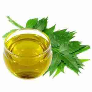 Pure Neem Oil / 25L / OTIGATI / Produced In Ghana