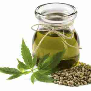 Natural Hemp Seeds Oil / 25 L / OTIGATI / Produced In Ghana
